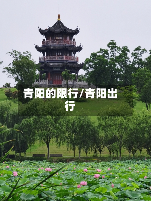 青阳的限行/青阳出行-第2张图片