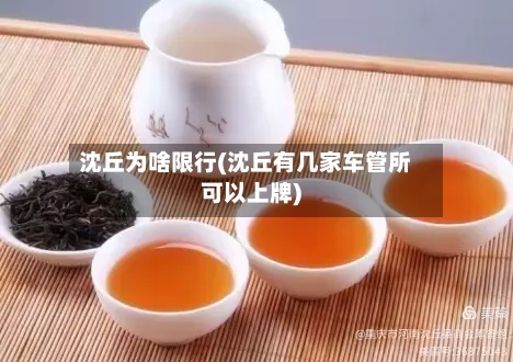 沈丘为啥限行(沈丘有几家车管所可以上牌)