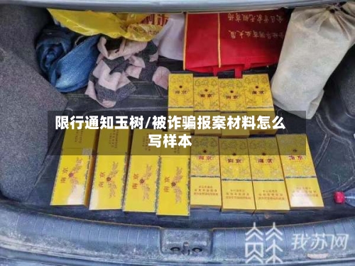 限行通知玉树/被诈骗报案材料怎么写样本-第2张图片