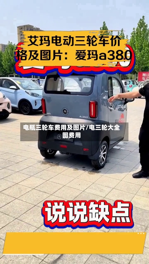 电瓶三轮车费用及图片/电三轮大全图费用