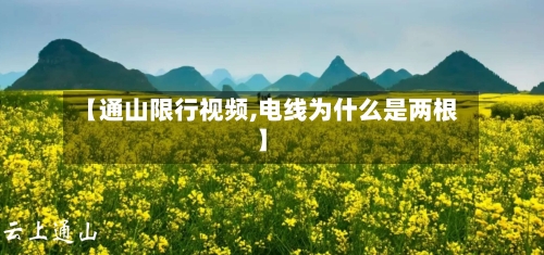 【通山限行视频,电线为什么是两根】-第2张图片