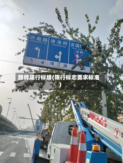 路牌限行标牌(限行标志要求标准)-第2张图片