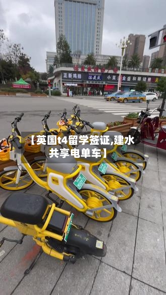【英国t4留学签证,建水共享电单车】-第2张图片