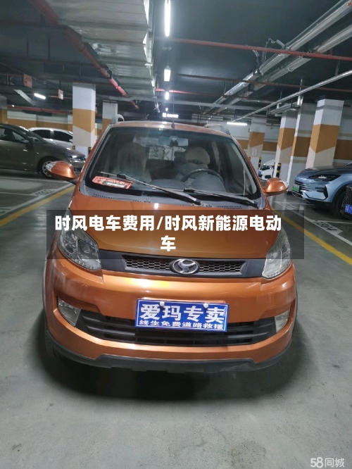 时风电车费用/时风新能源电动车-第2张图片