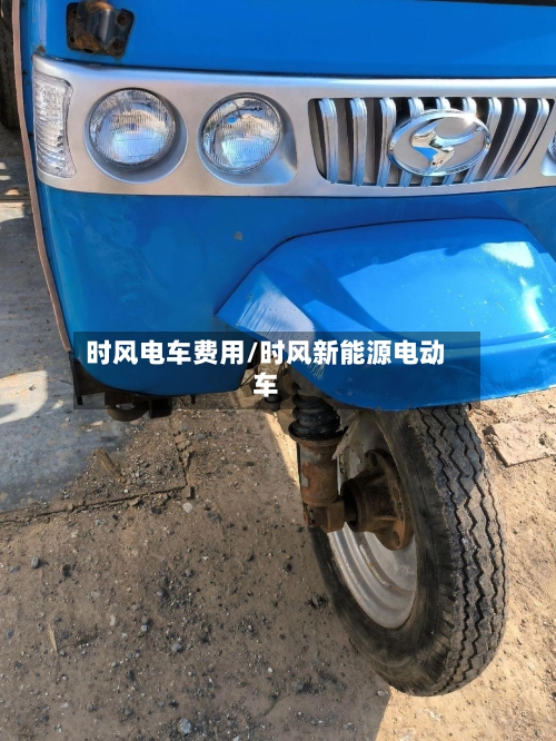 时风电车费用/时风新能源电动车-第3张图片