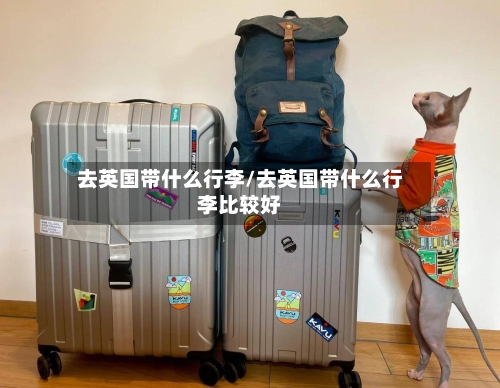 去英国带什么行李/去英国带什么行李比较好-第2张图片
