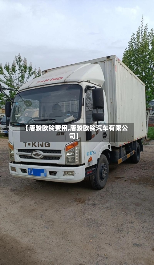 【唐骏欧铃费用,唐骏欧铃汽车有限公司】-第2张图片