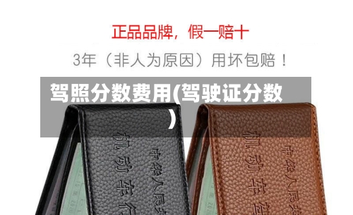 驾照分数费用(驾驶证分数)-第2张图片
