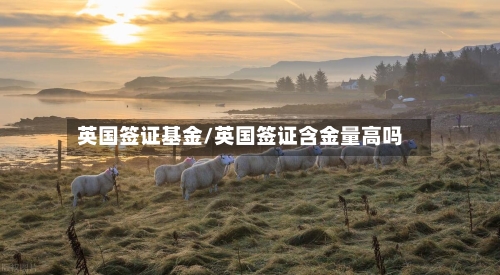 英国签证基金/英国签证含金量高吗-第2张图片