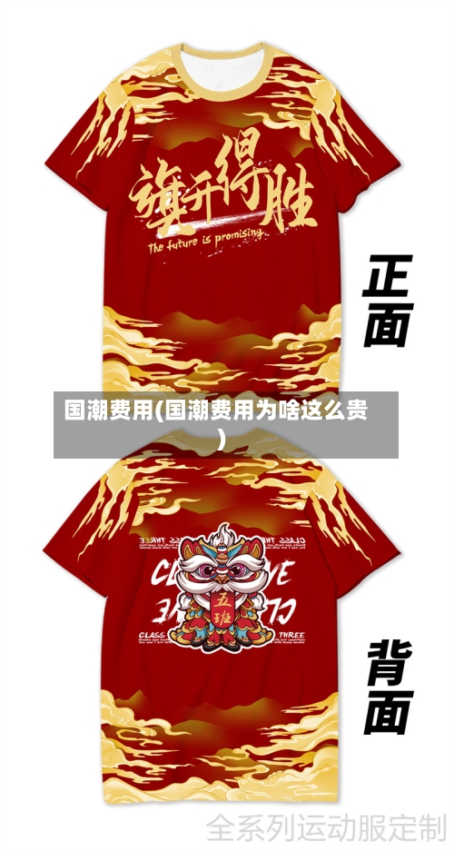 国潮费用(国潮费用为啥这么贵)-第2张图片