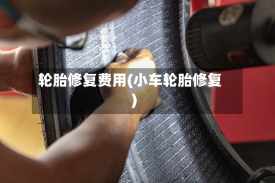 轮胎修复费用(小车轮胎修复)