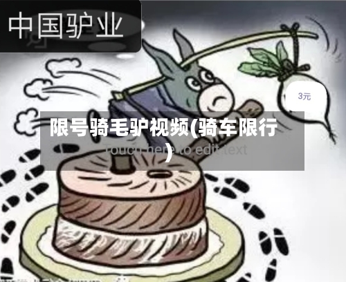 限号骑毛驴视频(骑车限行)