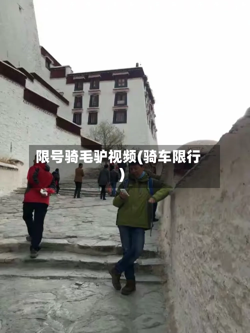 限号骑毛驴视频(骑车限行)-第2张图片
