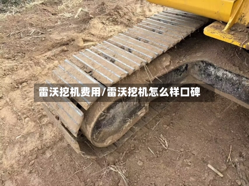 雷沃挖机费用/雷沃挖机怎么样口碑-第2张图片
