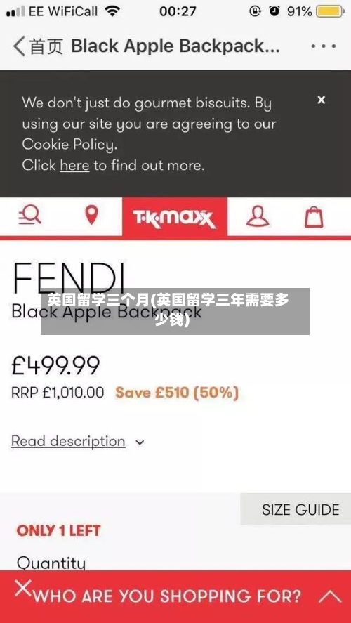 英国留学三个月(英国留学三年需要多少钱)-第3张图片