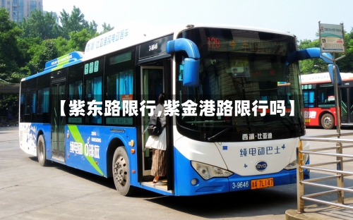 【紫东路限行,紫金港路限行吗】-第3张图片