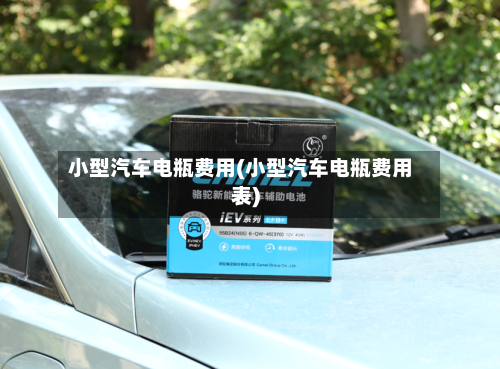 小型汽车电瓶费用(小型汽车电瓶费用表)-第2张图片