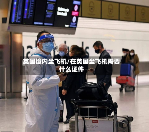 英国境内坐飞机/在英国坐飞机需要什么证件-第3张图片