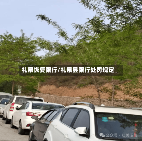礼泉恢复限行/礼泉县限行处罚规定-第3张图片