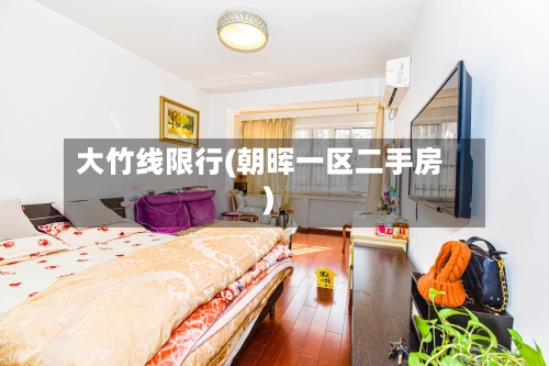 大竹线限行(朝晖一区二手房)