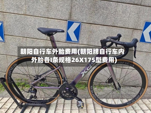 朝阳自行车外胎费用(朝阳牌自行车内外胎各I条规格26X175型费用)-第2张图片