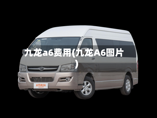 九龙a6费用(九龙A6图片)-第2张图片