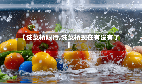 【洗菜桥限行,洗菜桥现在有没有了】
