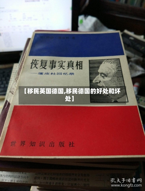 【移民英国德国,移民德国的好处和坏处】