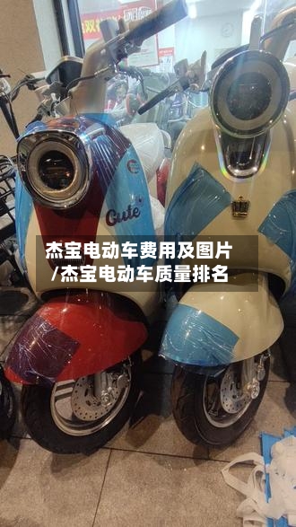 杰宝电动车费用及图片/杰宝电动车质量排名-第3张图片