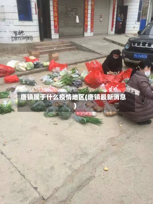 唐镇属于什么疫情地区(唐镇最新消息)