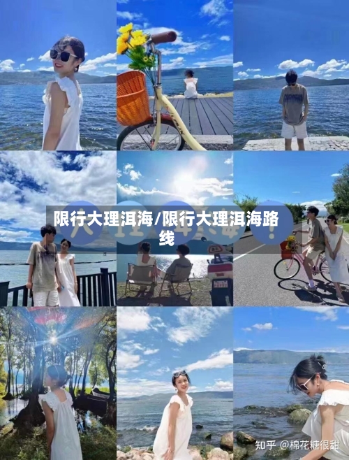 限行大理洱海/限行大理洱海路线