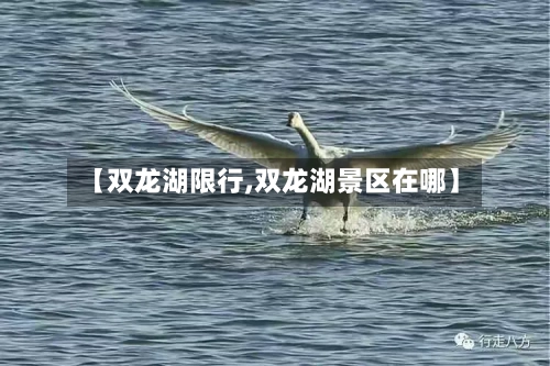 【双龙湖限行,双龙湖景区在哪】-第2张图片