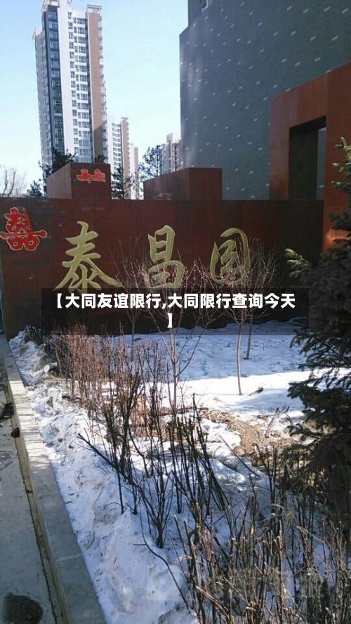 【大同友谊限行,大同限行查询今天】-第2张图片