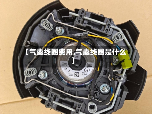 【气囊线圈费用,气囊线圈是什么】-第2张图片