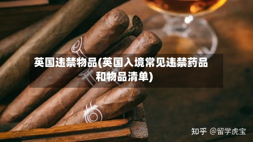 英国违禁物品(英国入境常见违禁药品和物品清单)