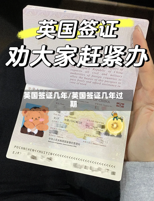 英国签证几年/英国签证几年过期-第3张图片