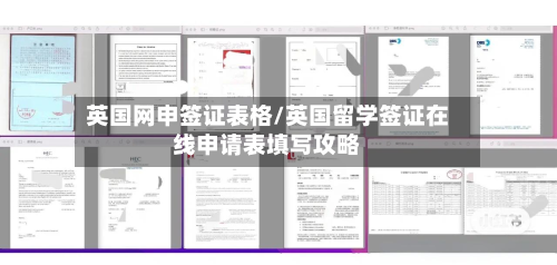 英国网申签证表格/英国留学签证在线申请表填写攻略