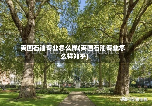 英国石油专业怎么样(英国石油专业怎么样知乎)