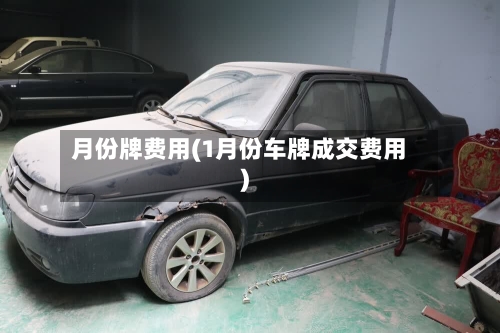 月份牌费用(1月份车牌成交费用)-第3张图片