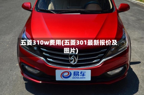 五菱310w费用(五菱301最新报价及图片)