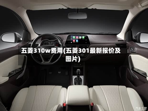五菱310w费用(五菱301最新报价及图片)-第2张图片