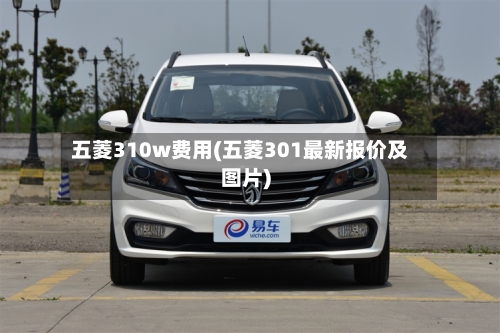 五菱310w费用(五菱301最新报价及图片)-第3张图片