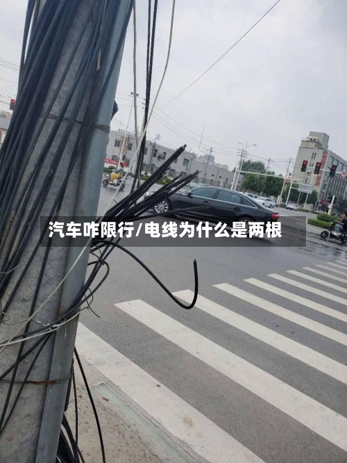 汽车咋限行/电线为什么是两根