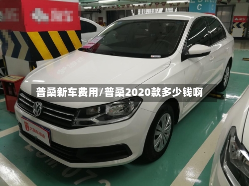 普桑新车费用/普桑2020款多少钱啊