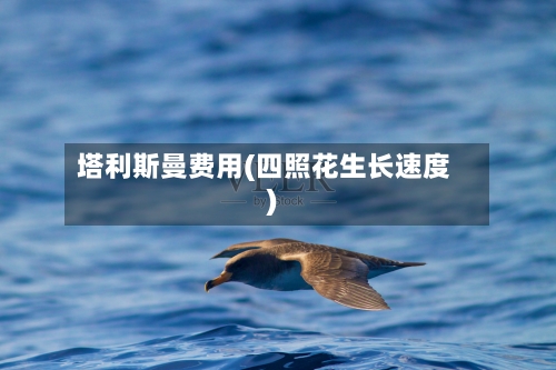 塔利斯曼费用(四照花生长速度)