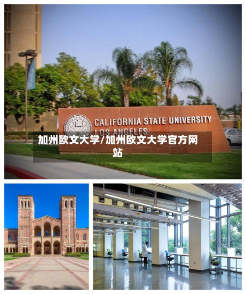 加州欧文大学/加州欧文大学官方网站