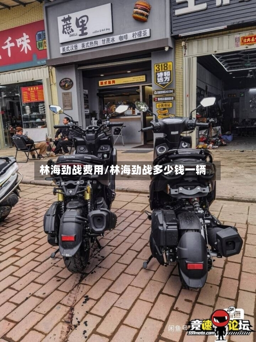 林海劲战费用/林海劲战多少钱一辆