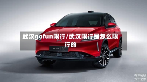 武汉gofun限行/武汉限行是怎么限行的