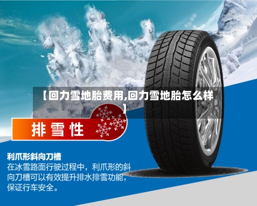 【回力雪地胎费用,回力雪地胎怎么样】-第2张图片