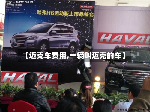 【迈克车费用,一辆叫迈克的车】-第3张图片